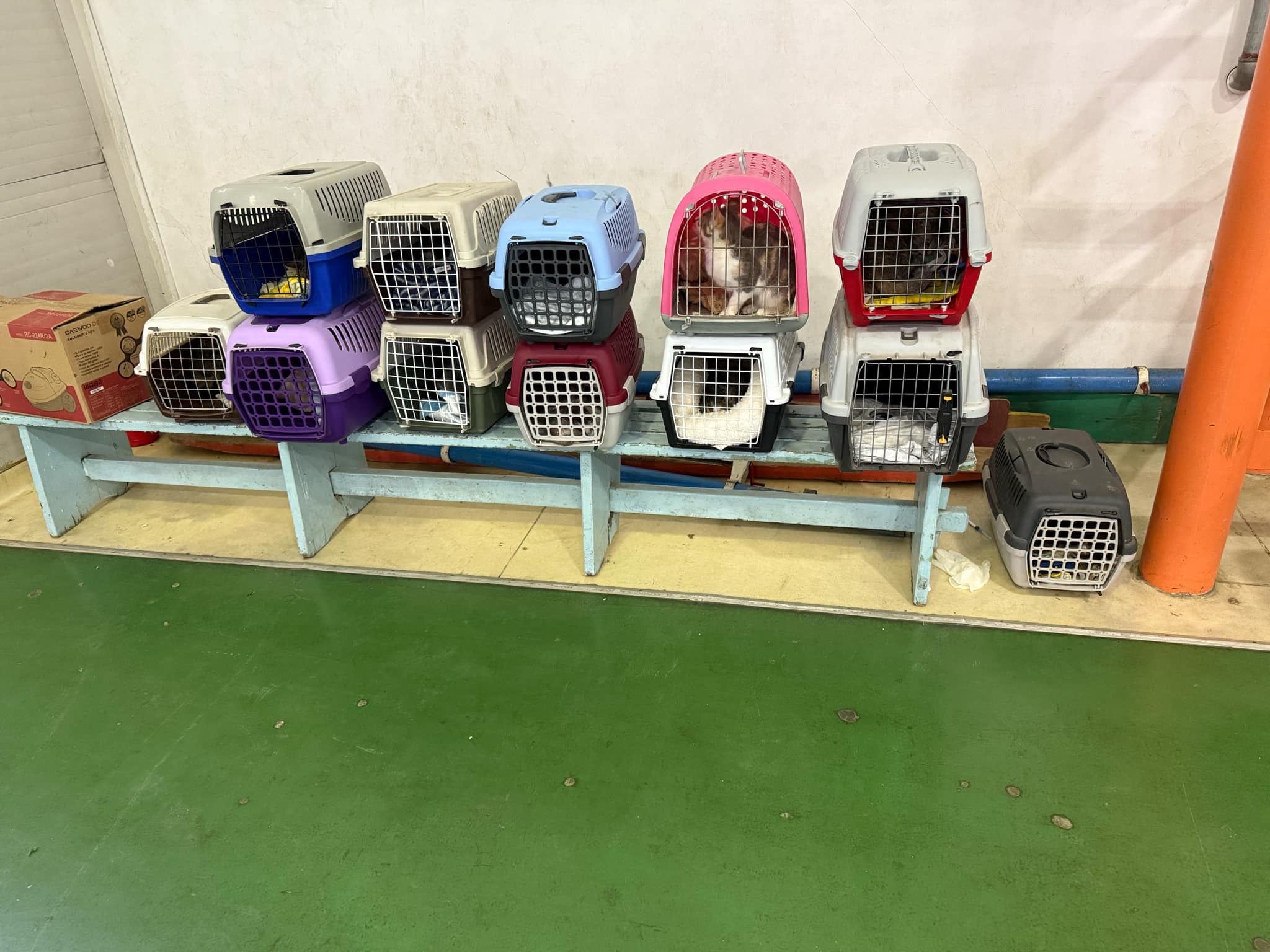 Mobirise Website Builder