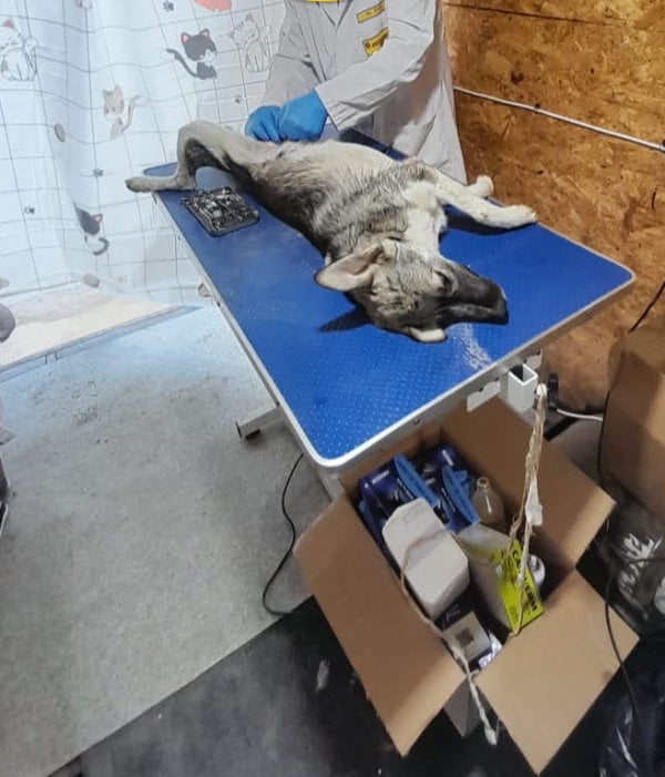 Mobirise Website Builder