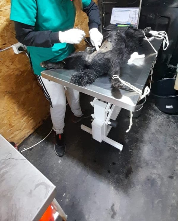 Mobirise Website Builder